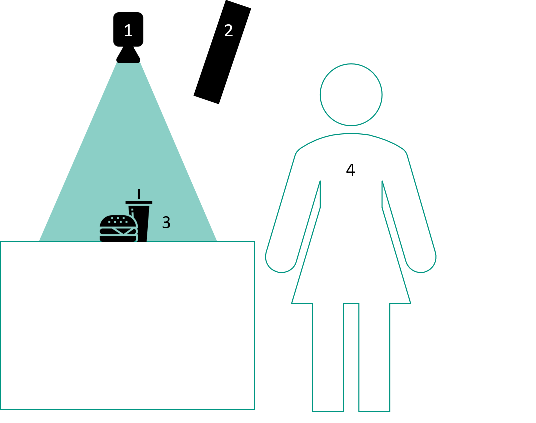 System overview